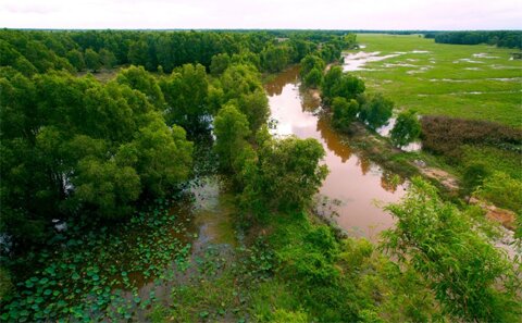 Sổ tay du lịch so tay du lich Sotaydulich Sotay Dulich Khampha Kham Pha Bui Khám phá vườn chim Tam Nông