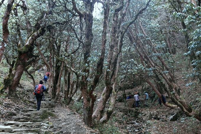 Sổ tay du lịch so tay du lich Sotaydulich Sotay Dulich Khampha Kham Pha Bui Hành trình trên nóc nhà thế giới