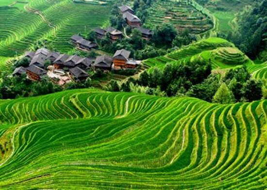 Sổ tay du lịch so tay du lich Sotaydulich Sotay Dulich Khampha Kham Pha Bui Longji Terraces những bậc thang bất tận