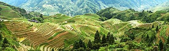 Sổ tay du lịch so tay du lich Sotaydulich Sotay Dulich Khampha Kham Pha Bui Longji Terraces những bậc thang bất tận