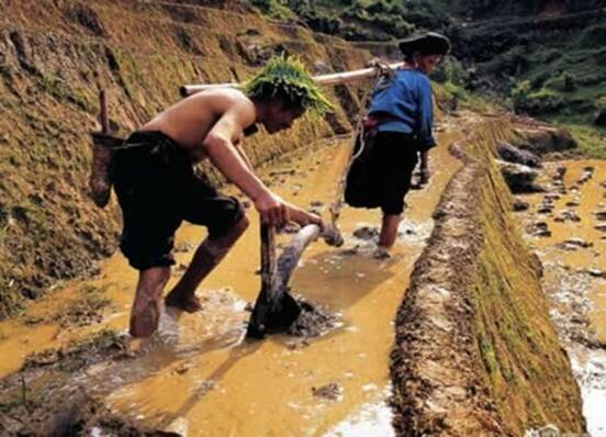 Sổ tay du lịch so tay du lich Sotaydulich Sotay Dulich Khampha Kham Pha Bui Longji Terraces những bậc thang bất tận