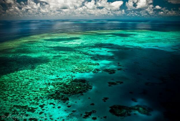 Sổ tay du lịch so tay du lich Sotaydulich Sotay Dulich Khampha Kham Pha Bui Hình ảnh đẹp về dãi san hô Great Barrier