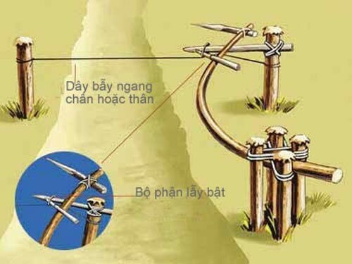 Sổ tay du lịch so tay du lich Sotaydulich Sotay Dulich Khampha Kham Pha Bui Bí mật địa đạo Việt và những cạm bẫy kinh hoàng