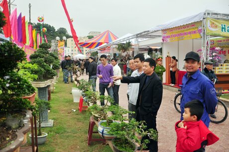 Sổ tay du lịch so tay du lich Sotaydulich Sotay Dulich Khampha Kham Pha Bui Giới trẻ thích thú tạo dáng bên hoa anh đào