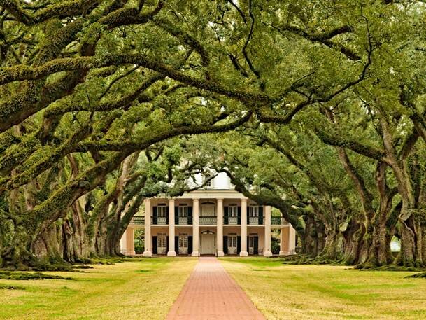  Sổ tay du lịch so tay du lich Sotaydulich Sotay Dulich Khampha Kham Pha Bui Tới Oak Alley Plantation xem cây sồi trăm tuổi