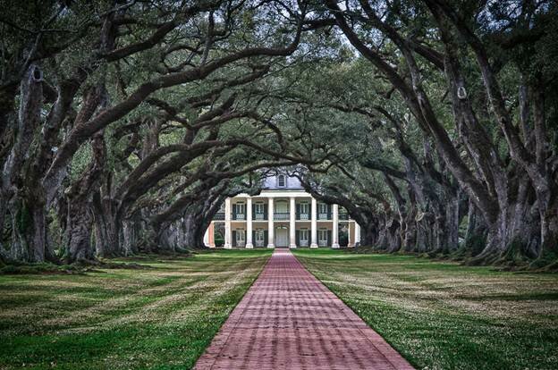  Sổ tay du lịch so tay du lich Sotaydulich Sotay Dulich Khampha Kham Pha Bui Tới Oak Alley Plantation xem cây sồi trăm tuổi