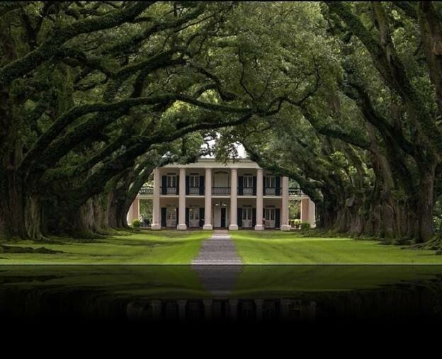  Sổ tay du lịch so tay du lich Sotaydulich Sotay Dulich Khampha Kham Pha Bui Tới Oak Alley Plantation xem cây sồi trăm tuổi