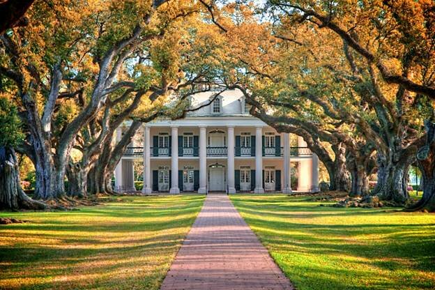  Sổ tay du lịch so tay du lich Sotaydulich Sotay Dulich Khampha Kham Pha Bui Tới Oak Alley Plantation xem cây sồi trăm tuổi