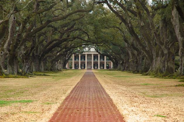  Sổ tay du lịch so tay du lich Sotaydulich Sotay Dulich Khampha Kham Pha Bui Tới Oak Alley Plantation xem cây sồi trăm tuổi