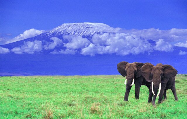 Sổ tay du lịch so tay du lich Sotaydulich Sotay Dulich Khampha Kham Pha Bui Kilimanjaro Ngọn núi ánh sáng