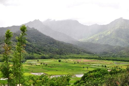 Sổ tay du lịch so tay du lich Sotaydulich Sotay Dulich Khampha Kham Pha Bui Quyến rũ Kaui