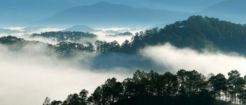 Sổ tay du lịch so tay du lich Sotaydulich Sotay Dulich Khampha Kham Pha Bui Đà Lạt tiên cảnh trong sương