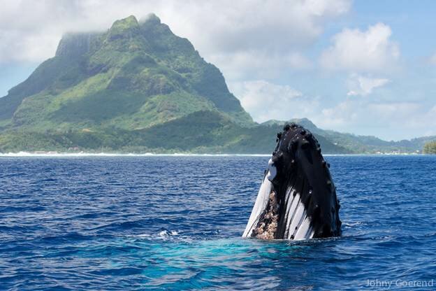 Sổ tay du lịch so tay du lich Sotaydulich Sotay Dulich Khampha Kham Pha Bui Bora Bora Thiên đường tuyệt đẹp với chuẩn ảnh HD