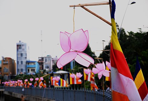 Sổ tay du lịch so tay du lich Sotaydulich Sotay Dulich Khampha Kham Pha Bui Đài sen khổng lồ trên kênh Nhiêu Lộc