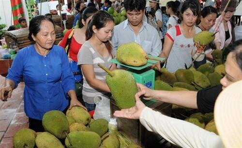 Sổ tay du lịch so tay du lich Sotaydulich Sotay Dulich Khampha Kham Pha Bui Lễ hội trái cây Nam bộ kéo dài 3 tháng