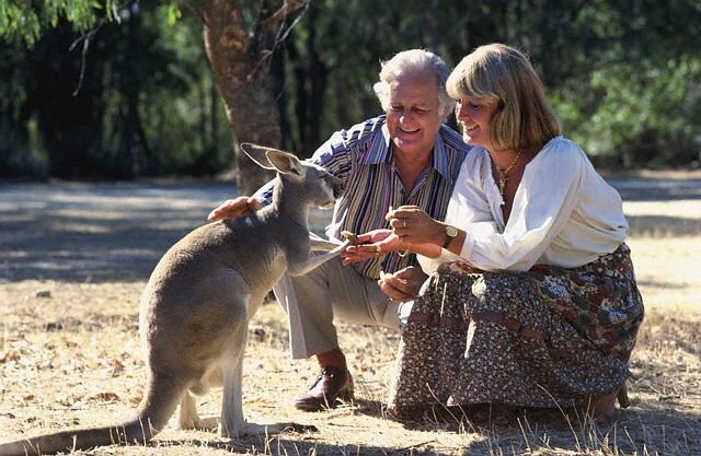 Sổ tay du lịch so tay du lich Sotaydulich Sotay Dulich Khampha Kham Pha Bui Kangaroo biểu tượng Australia