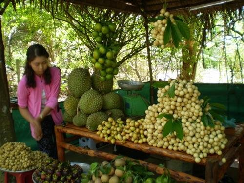 Sổ tay du lịch so tay du lich Sotaydulich Sotay Dulich Khampha Kham Pha Bui Phong Điền ấn tượng một mùa dâu