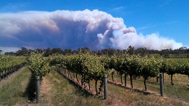 Sổ tay du lịch so tay du lich Sotaydulich Sotay Dulich Khampha Kham Pha Bui Khám phá thiên đường xanh Margaret River