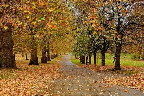 Sổ tay du lịch so tay du lich Sotaydulich Sotay Dulich Khampha Kham Pha Bui Xanh thư giãn xanh sinh thái London