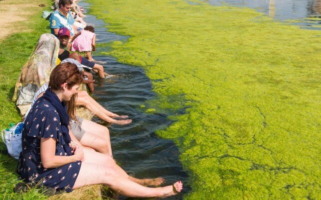 Sổ tay du lịch so tay du lich Sotaydulich Sotay Dulich Khampha Kham Pha Bui Giải nhiệt mùa hè ở xứ sương mù