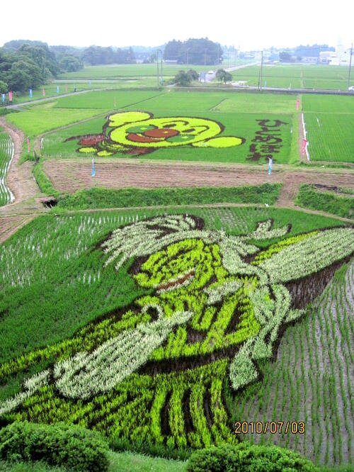 Sổ tay du lịch so tay du lich Sotaydulich Sotay Dulich Khampha Kham Pha Bui Những hình ảnh độc đáo trên cánh đồng lúa ở Nhật Bản