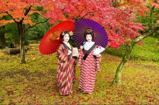 Sổ tay du lịch so tay du lich Sotaydulich Sotay Dulich Khampha Kham Pha Bui Geisha con người của nghệ thuật