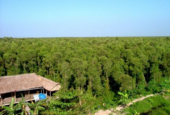 Sổ tay du lịch so tay du lich Sotaydulich Sotay Dulich Khampha Kham Pha Bui Vườn Quốc gia U Minh Thượng trở thành Vườn di sản ASEAN