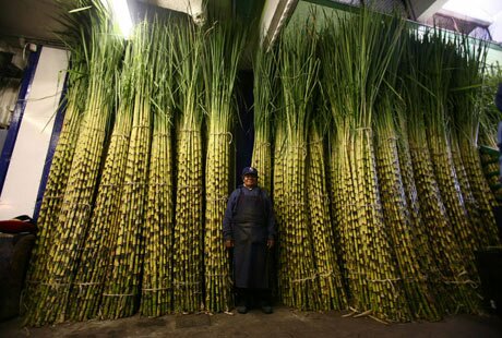 Sổ tay du lịch so tay du lich Sotaydulich Sotay Dulich Khampha Kham Pha Bui Abasto Chợ bán buôn lớn nhất thế giới