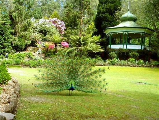 Sổ tay du lịch so tay du lich Sotaydulich Sotay Dulich Khampha Kham Pha Bui Cataract Gorge thanh bình