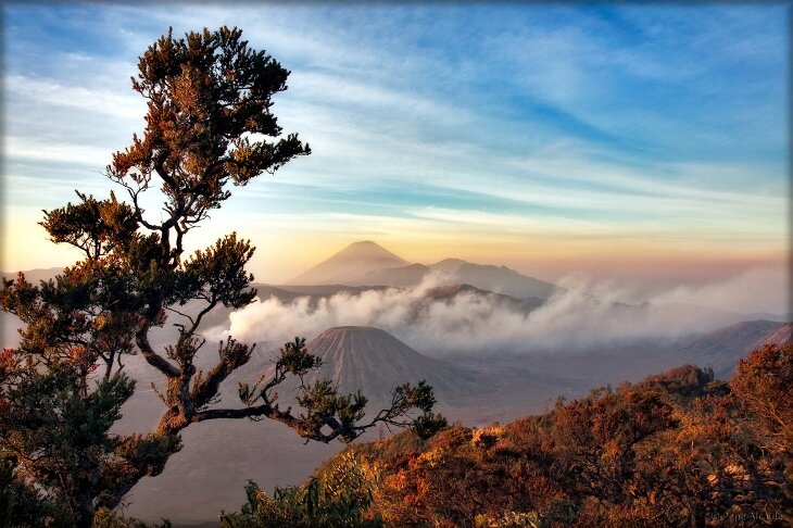 Sổ tay du lịch so tay du lich Sotaydulich Sotay Dulich Khampha Kham Pha Bui Khám phá vườn quốc gia núi lửa Bromo Tengger Semeru