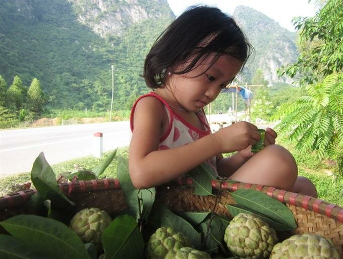 Sổ tay du lịch so tay du lich Sotaydulich Sotay Dulich Khampha Kham Pha Bui Lên Lạng Sơn mùa na chín