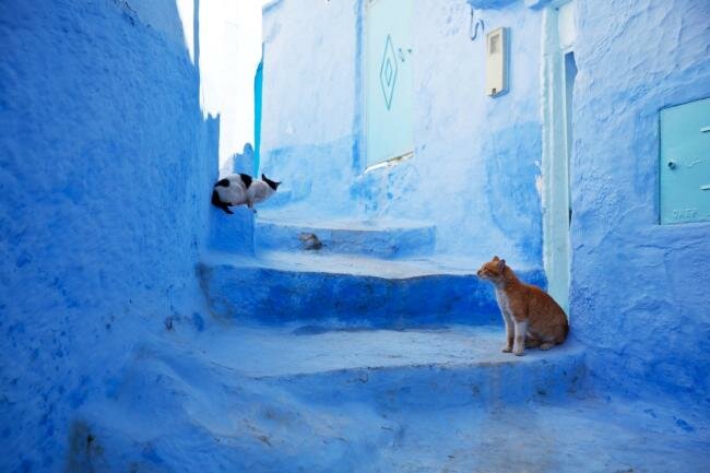 Sổ tay du lịch so tay du lich Sotaydulich Sotay Dulich Khampha Kham Pha Bui Chefchaouen ngôi làng màu sắc ở Ma rốc 