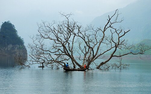 Sổ tay du lịch so tay du lich Sotaydulich Sotay Dulich Khampha Kham Pha Bui Đom đóm xập xòe đêm Na Hang