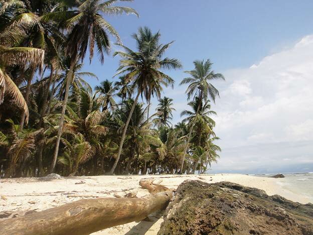 Sổ tay du lịch so tay du lich Sotaydulich Sotay Dulich Khampha Kham Pha Bui Pelican sào huyệt cướp biển vùng Panama