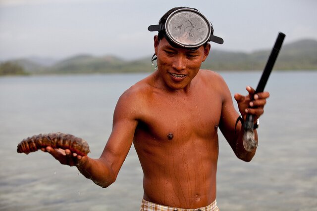 Sổ tay du lịch so tay du lich Sotaydulich Sotay Dulich Khampha Kham Pha Bui Pelican sào huyệt cướp biển vùng Panama