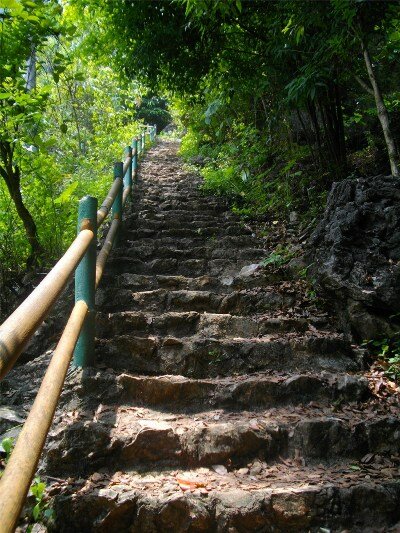 Sổ tay du lịch so tay du lich Sotaydulich Sotay Dulich Khampha Kham Pha Bui Núi Phượng Hoàng đầu đông