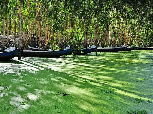 Sổ tay du lịch so tay du lich Sotaydulich Sotay Dulich Khampha Kham Pha Bui Những ngọn núi huyền bí ở An Giang