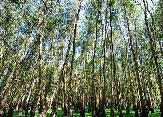 Sổ tay du lịch so tay du lich Sotaydulich Sotay Dulich Khampha Kham Pha Bui Những ngọn núi huyền bí ở An Giang