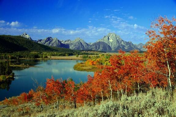 Sổ tay du lịch so tay du lich Sotaydulich Sotay Dulich Khampha Kham Pha Bui Vẻ đẹp bất tận vườn quốc gia Grand Tetons