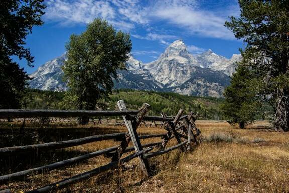 Sổ tay du lịch so tay du lich Sotaydulich Sotay Dulich Khampha Kham Pha Bui Vẻ đẹp bất tận vườn quốc gia Grand Tetons