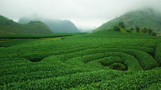 Sổ tay du lịch so tay du lich Sotaydulich Sotay Dulich Khampha Kham Pha Bui Khám phá Ngũ Động Bản Ôn