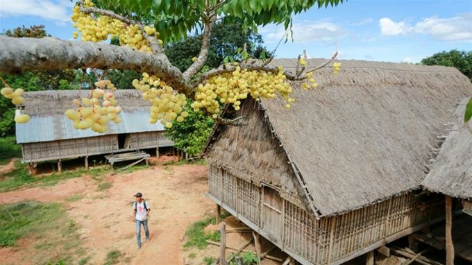 Sổ tay du lịch so tay du lich Sotaydulich Sotay Dulich Khampha Kham Pha Bui Về Kon Sơ Lăl xem múa hề