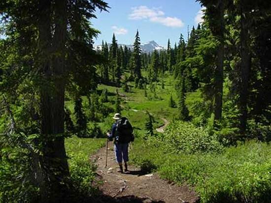 Sổ tay du lịch so tay du lich Sotaydulich Sotay Dulich Khampha Kham Pha Bui Whistler Blackcomb - điểm du lịch mùa đông thú vị 