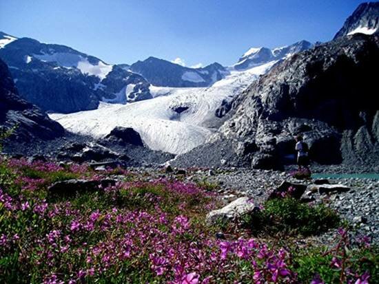 Sổ tay du lịch so tay du lich Sotaydulich Sotay Dulich Khampha Kham Pha Bui Whistler Blackcomb - điểm du lịch mùa đông thú vị 