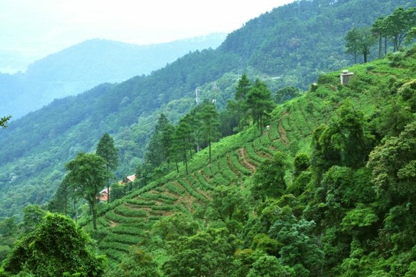 Sổ tay du lịch so tay du lich Sotaydulich Sotay Dulich Khampha Kham Pha Bui Thăm Tam Đảo