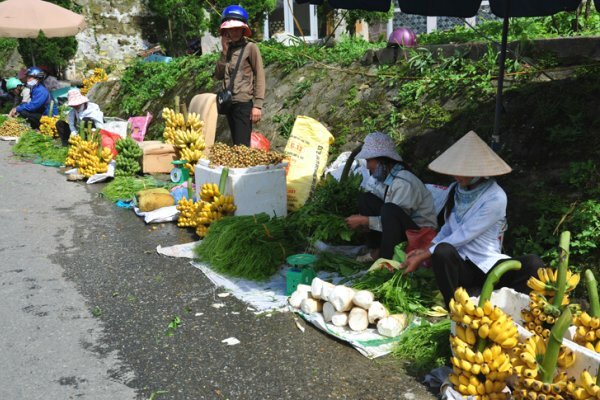 Sổ tay du lịch so tay du lich Sotaydulich Sotay Dulich Khampha Kham Pha Bui Thăm Tam Đảo