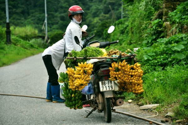 Sổ tay du lịch so tay du lich Sotaydulich Sotay Dulich Khampha Kham Pha Bui Thăm Tam Đảo