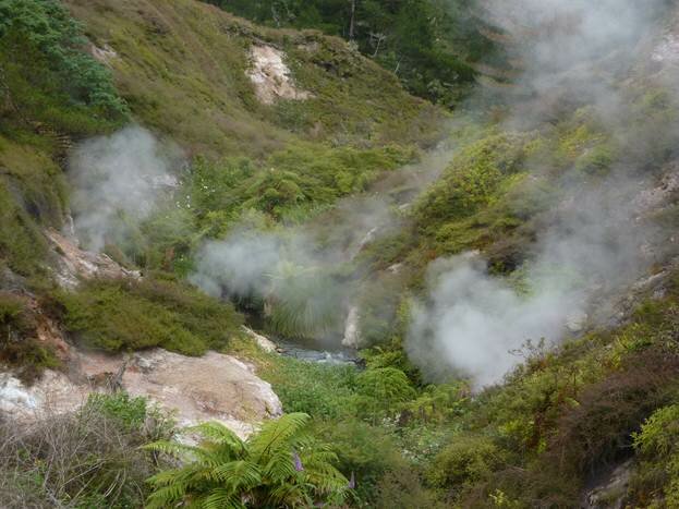 Sổ tay du lịch so tay du lich Sotaydulich Sotay Dulich Khampha Kham Pha Bui Dominica Du lịch Caribbean Nơi của những truyền thuyết