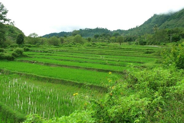 Sổ tay du lịch so tay du lich Sotaydulich Sotay Dulich Khampha Kham Pha Bui Toba Hồ núi lửa lớn nhất thế giới