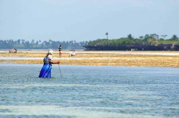 Sổ tay du lịch so tay du lich Sotaydulich Sotay Dulich Khampha Kham Pha Bui Quyến rũ quần đảo Zanzibar